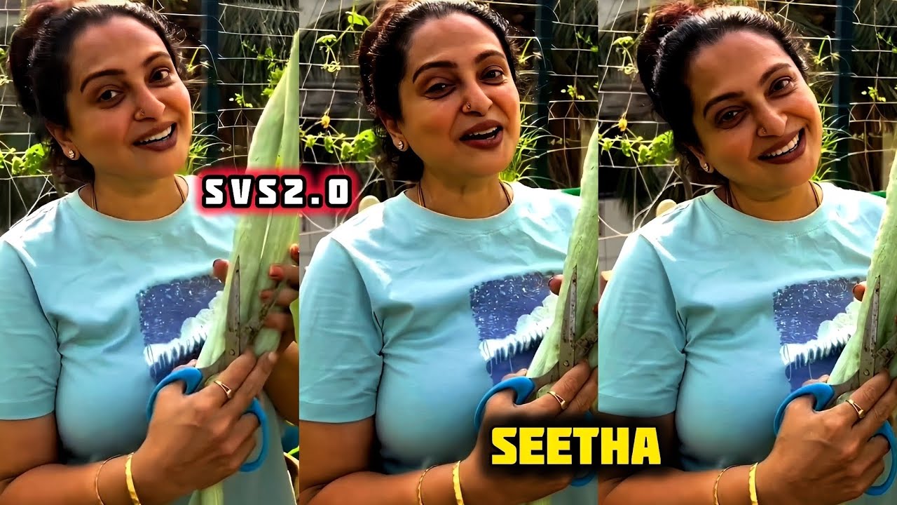 Actress Seetha Shines With Powerful Roles And Timeless Elegance