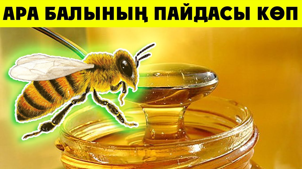 ҚҰРАНДА АЙТЫЛҒАН АРА БАЛЫНЫҢ ПАЙДАСЫ