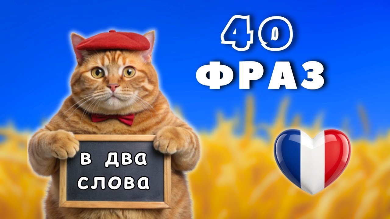 Круті Розмовні Фрази для Легкого Спілкування. Французька Мова для Початківців