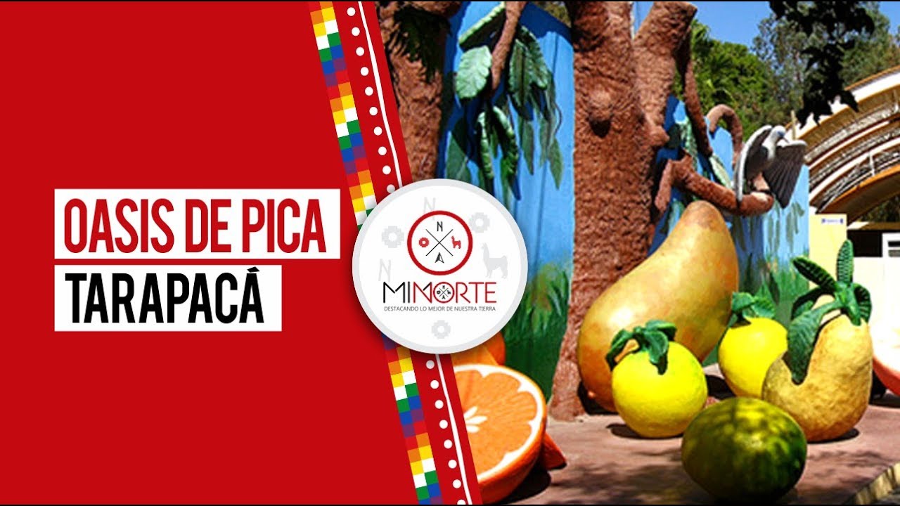 Oasis de  PICA, Tarapacá