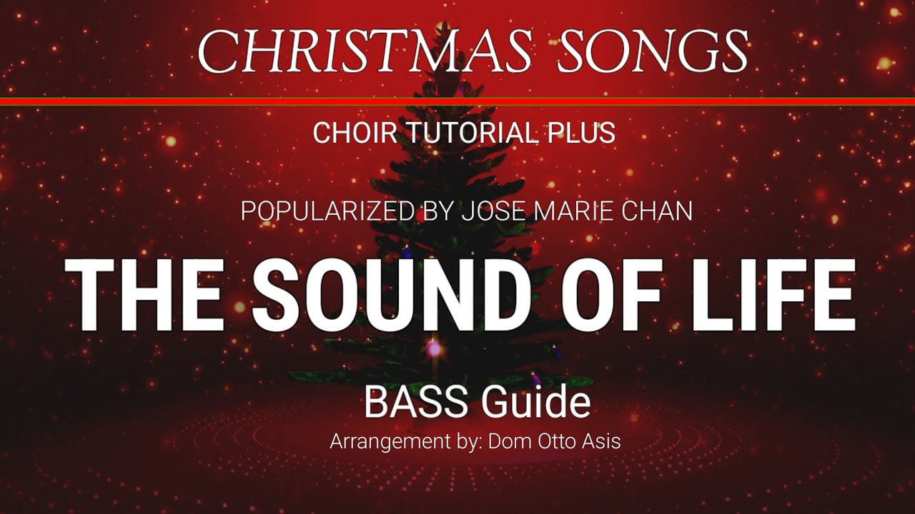 THE SOUND OF LIFE _ BASS Guide