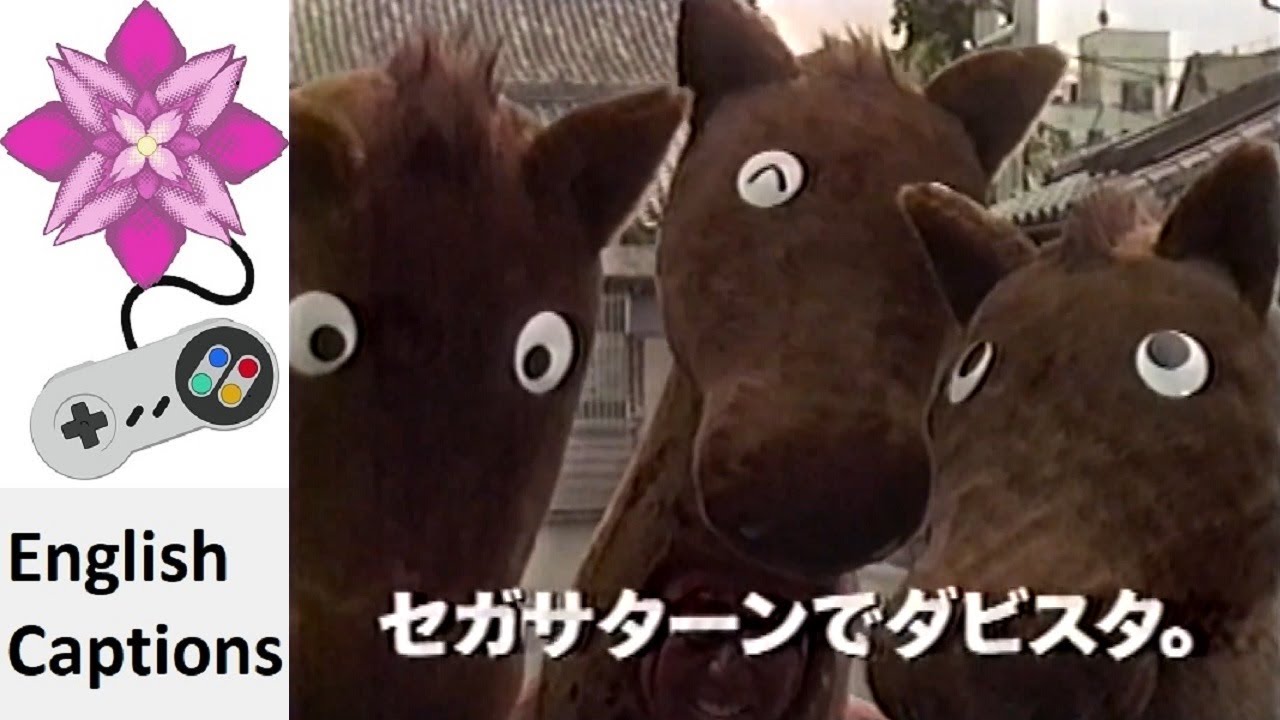 Derby Stallion Japanese Commercial