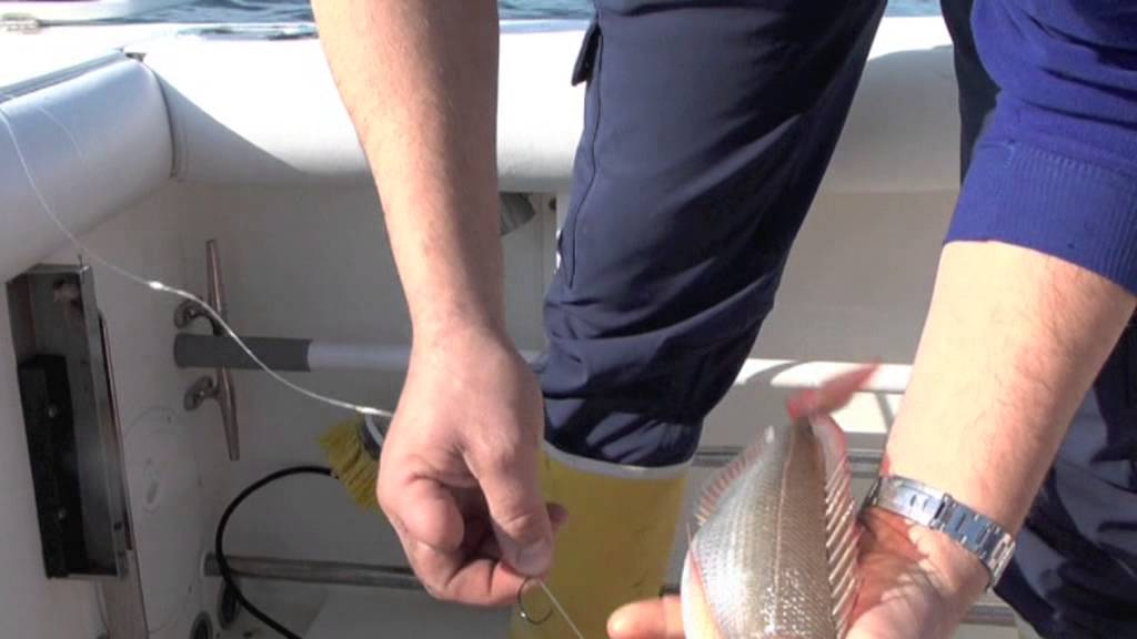 Italian FishingTv - Colmic - Mare - Bolentino di medio fondale