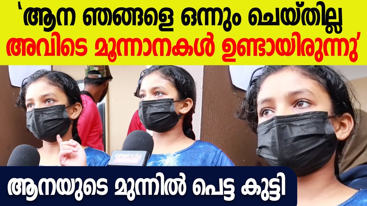'ആന ചെവിയുമാട്ടി അനങ്ങാതെ നിന്നു; ആനയുടെ കണ്ണിൽ നിന്നും കണ്ണുനീർ'; ആനയുടെ മുന്നിൽ പെട്ട കുട്ടി