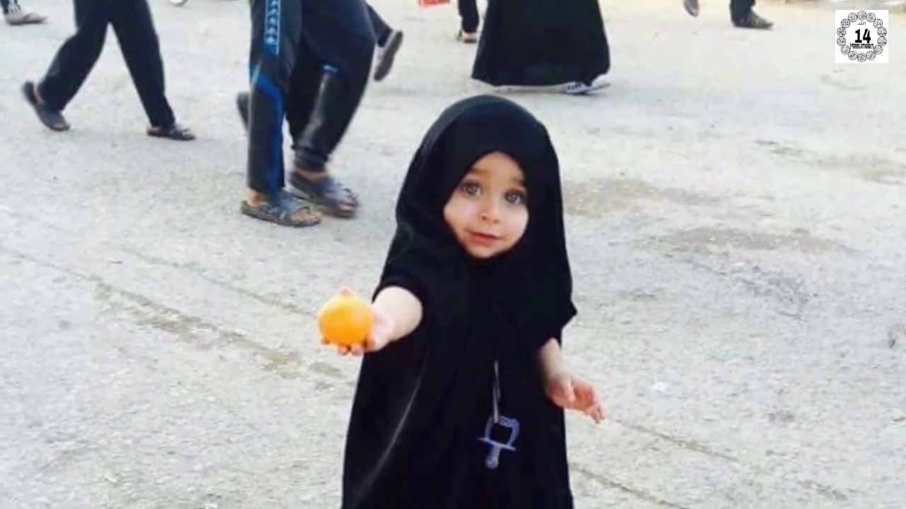 Arbaeen walk | World's Largest Gatherings | Najaf to karbala Walk | arbaeen walk  | اربعين