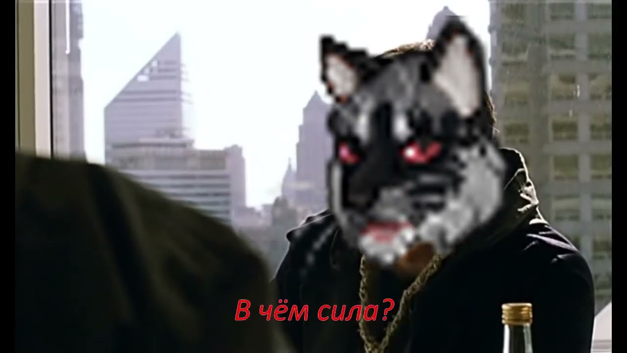 В чём сила? (catwar)