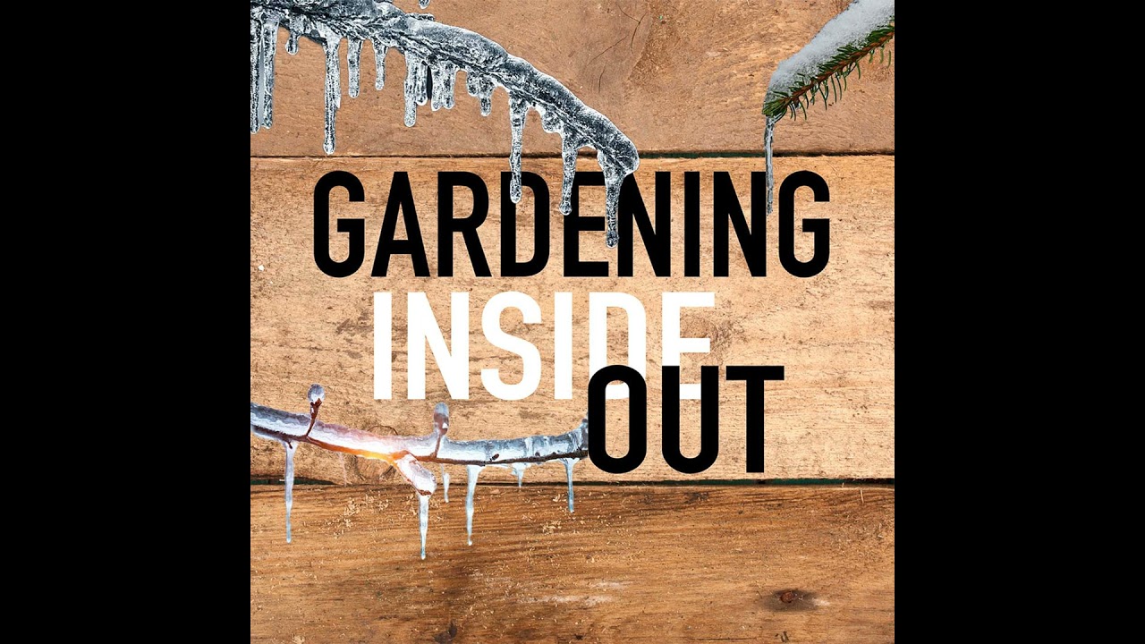 Ep. 130 | Gardening on Ice, The big ice storm, Watering bromeliad | Jan 24