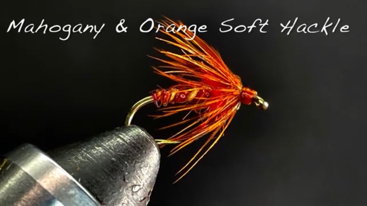 Mahogany & Orange Soft Hackle