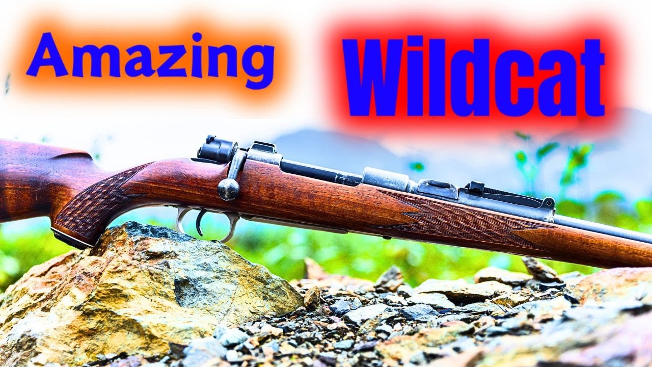 Удивительный картридж WILDCAT!