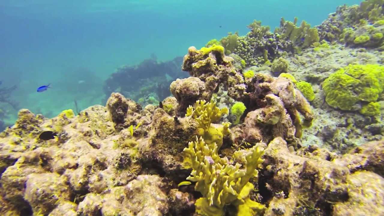 GoPro Hero3 Snorkeling @ Turks and Caicos - West Caicos April 2013