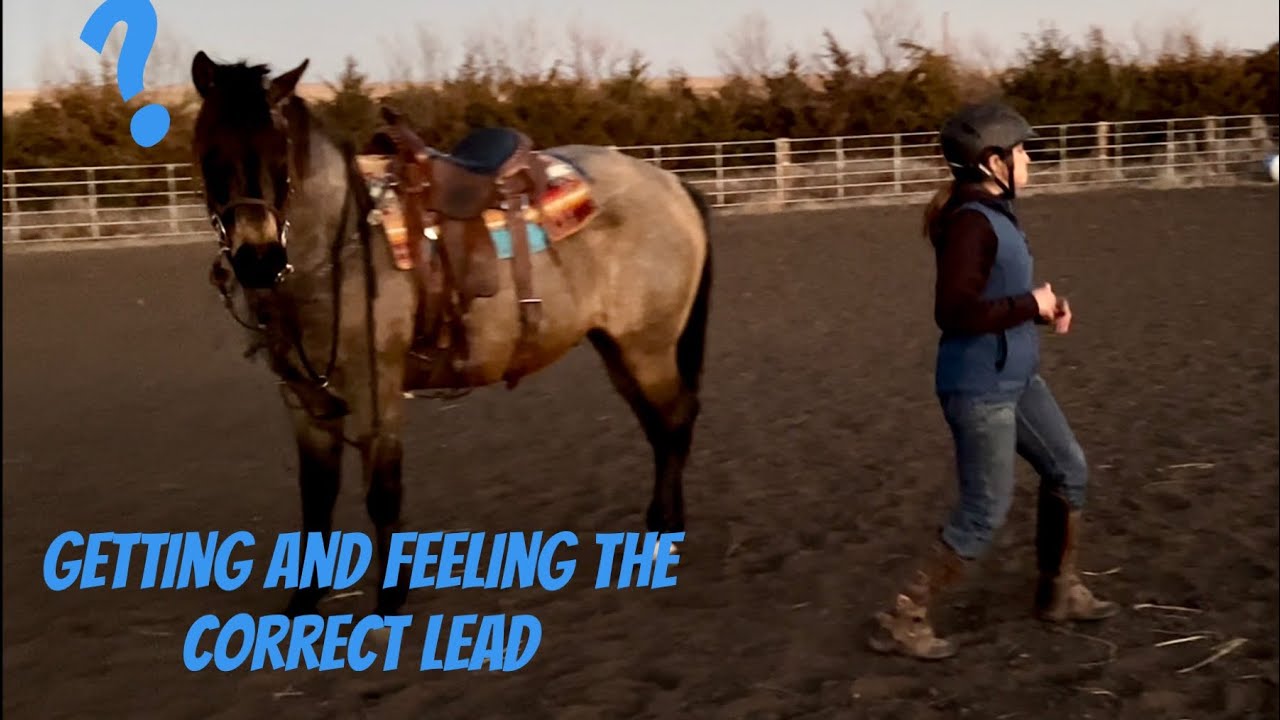 How to pick up the correct lead and figure out what lead you are on