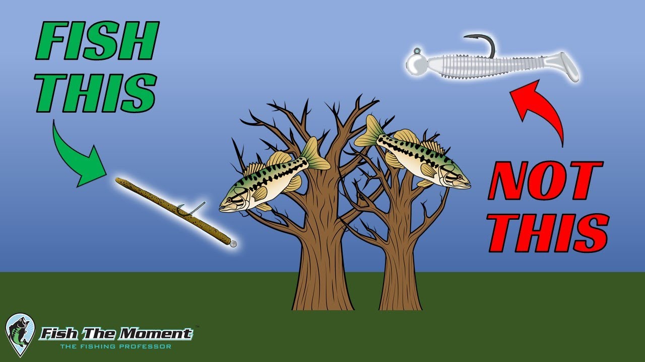 The Most Common Misconception About Catching Suspended Bass
