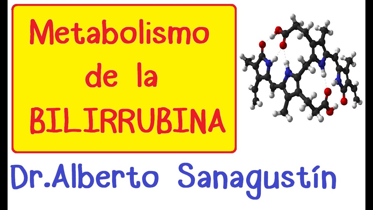 METABOLISMO DE LA BILIRRUBINA (Fisiología)