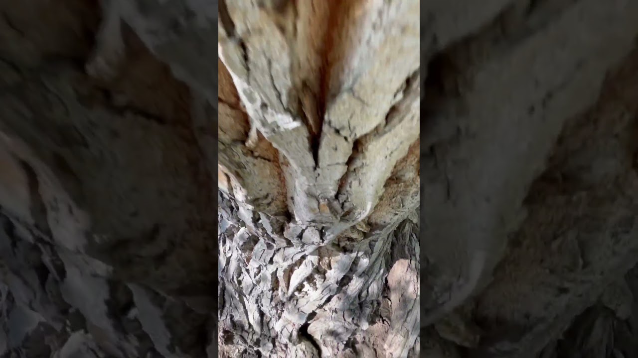 #420 #nature # #hiking