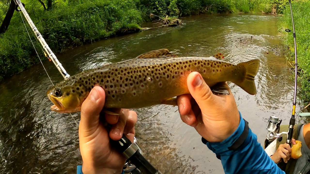 June 2025 Driftless Trout Fishing - Part 7 Boys Weekend