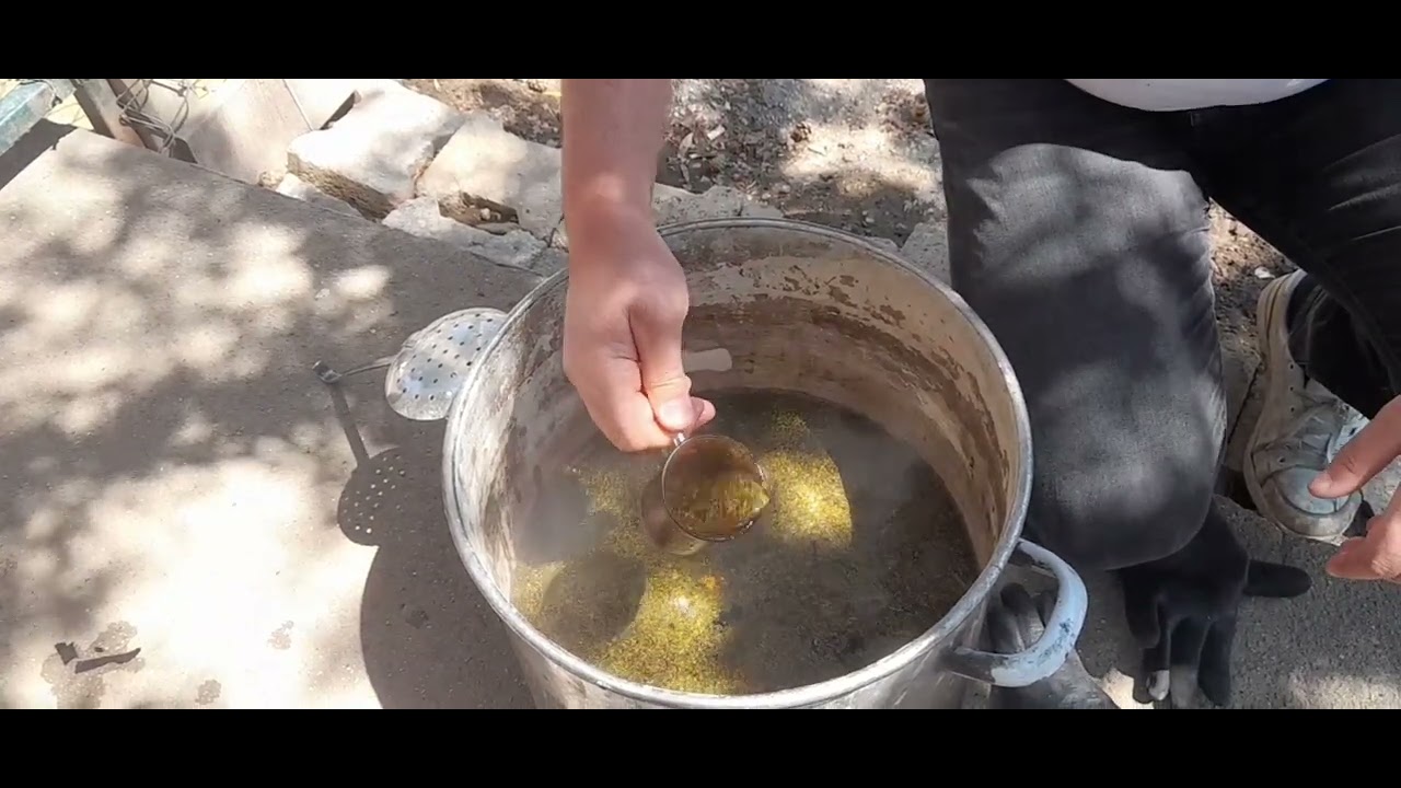Tavuklar kanatlı crd solunum yolu Akciyer kuruma iç hastalıkları kabızlık önleyici doğak çözumler