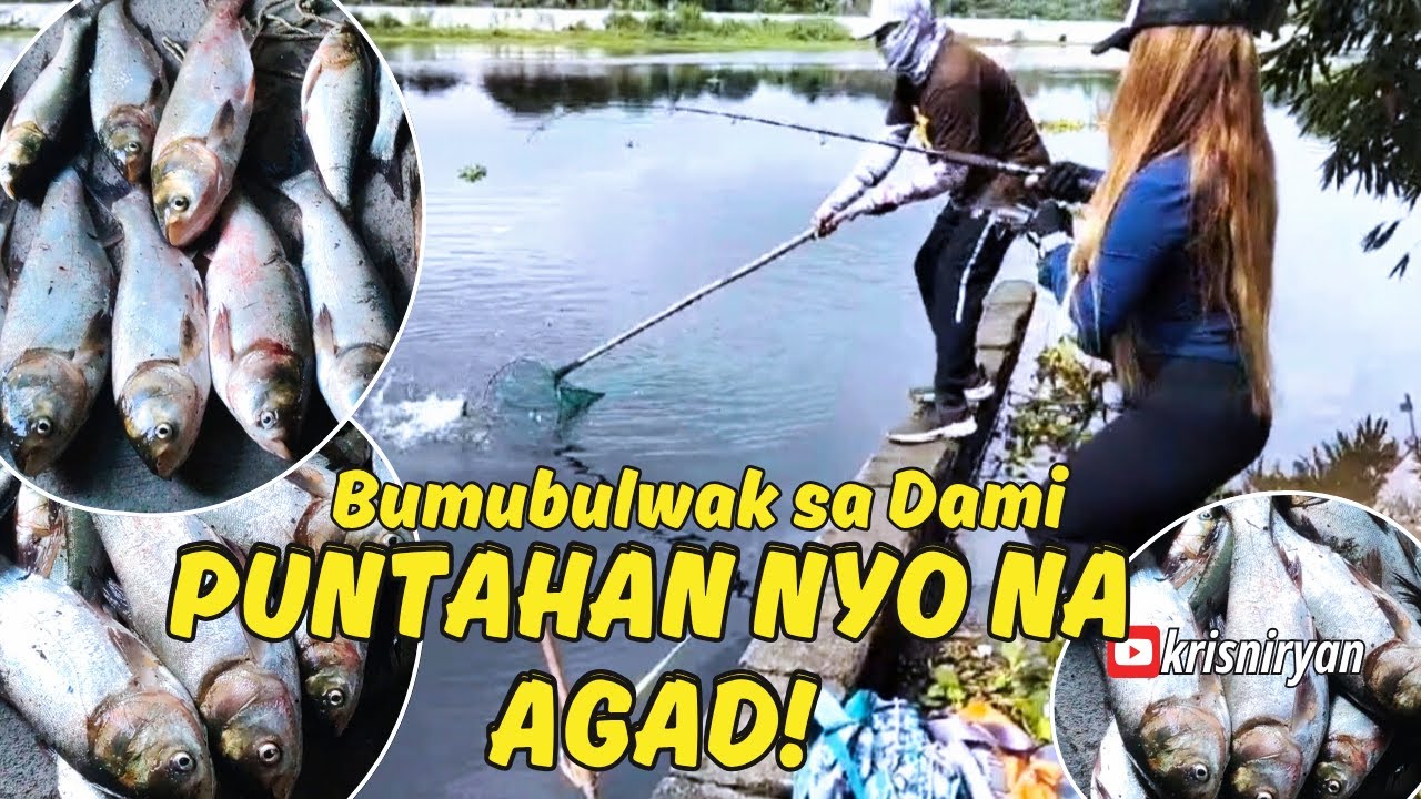 NATAGPUAN NAMIN ang LUNGGA ng BIGHEAD sa ILOG ng PULILAN BULACAN BUMUBULWAK sa DAMI