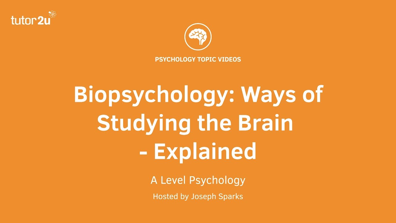 Biopsychology: Ways of Studying the Brain Explained