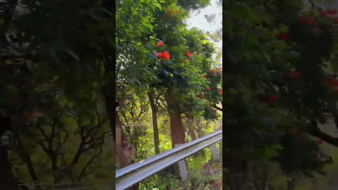 #kerala
