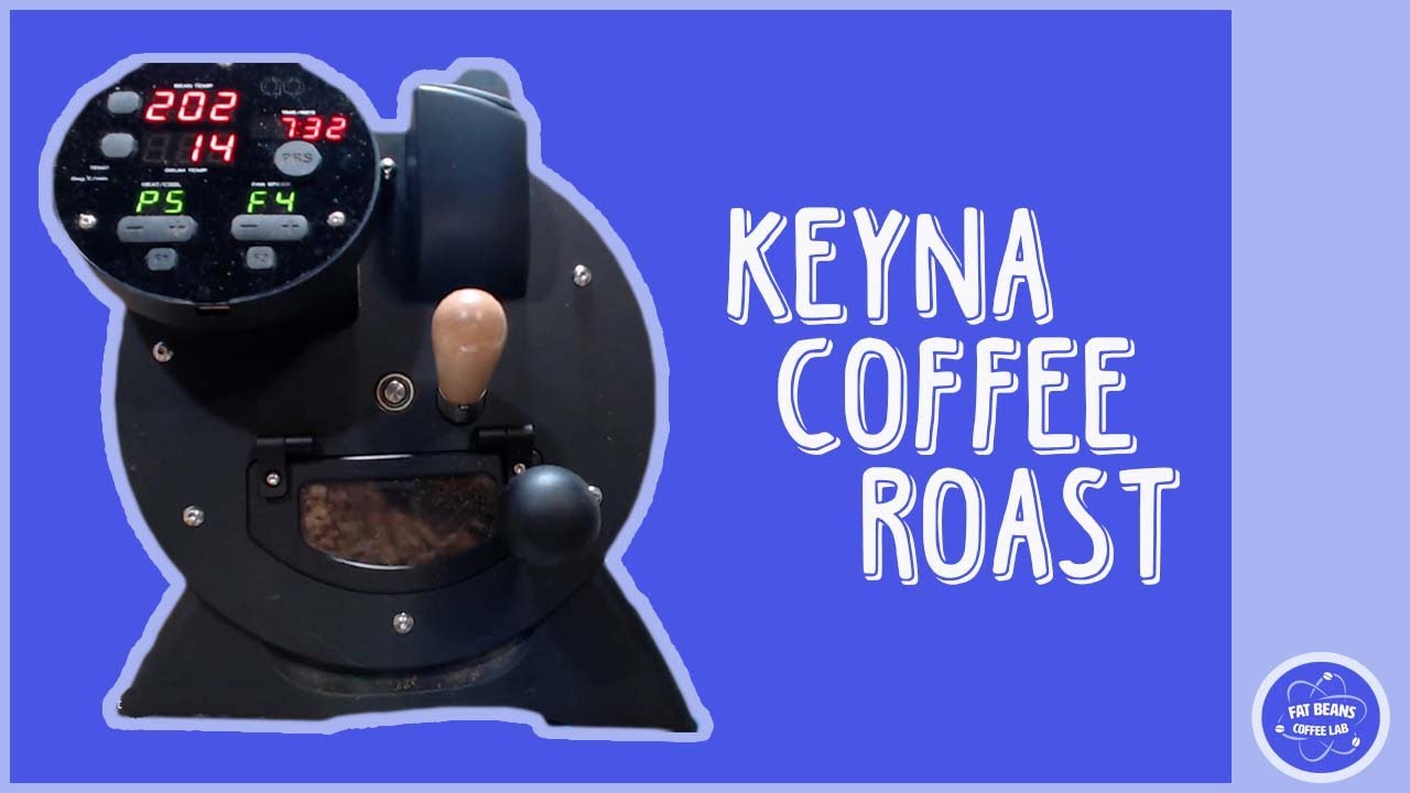 1000 grams of Kenya Nyeri Chinga coffee roasted on an Aillio Bullet