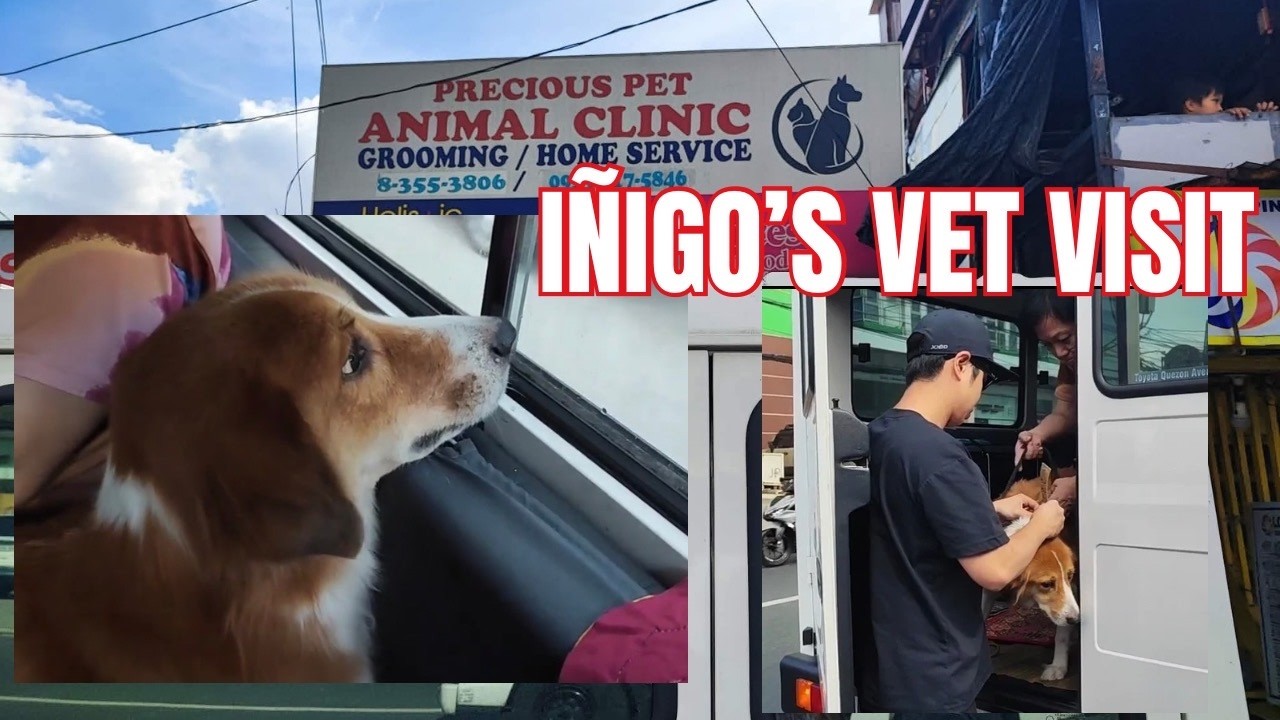 IÑIGO's Vet Visit | LOIDA AND ANA VLOGS