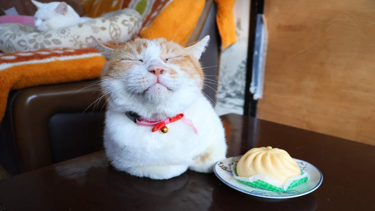 ちゃぶ台の上のピザまん　260204