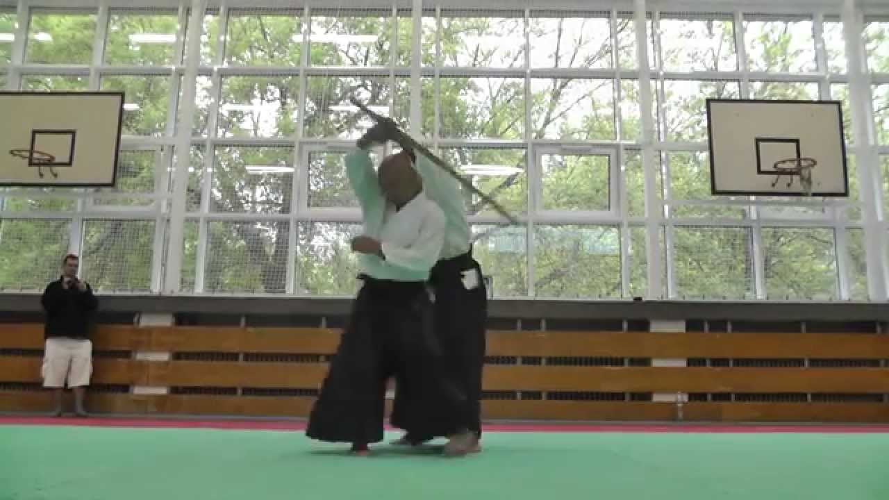 00003 - Gyaku-hanmi (gedan and chudan) ura - Soku irimi (stretching)