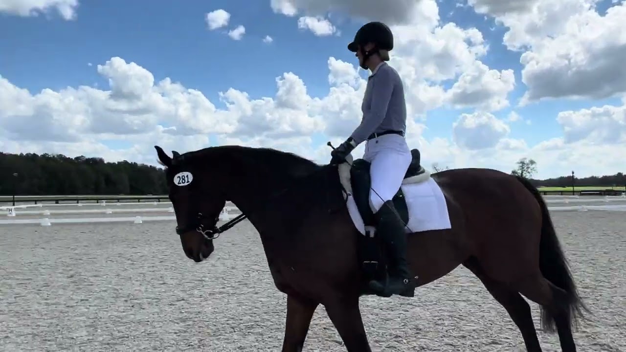 2022 USEF Beginner Novice Test A- 02/27/2022, 74.4%