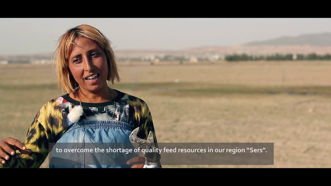 Forage for Biomass and Sustainable Crop-Livestock Systems: Scaling Forage Seeds in Tunisia