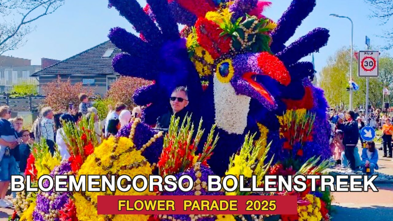 🌷 BLOEMENCORSO BOLLENSTREEK - KEUKENHOF 🇳🇱 2025 (4K) | THE UNIQUE FLOWER PARADE IN THE NETHERLANDS