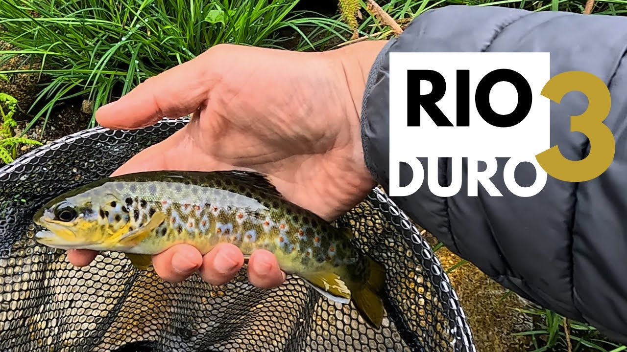 Rio "Duro" 3 - Pesca às Trutas 2024