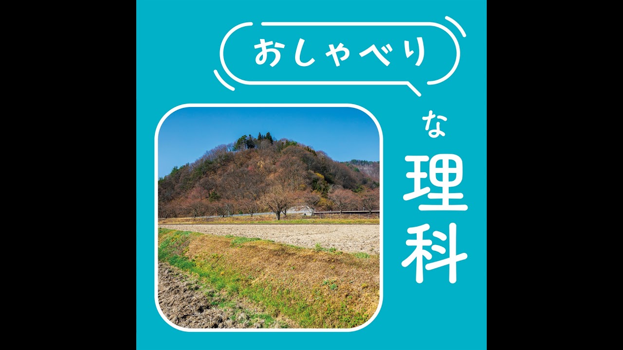 #161【4年 生き物の1年をふり返って】気温の変化に適応しながら生きている！