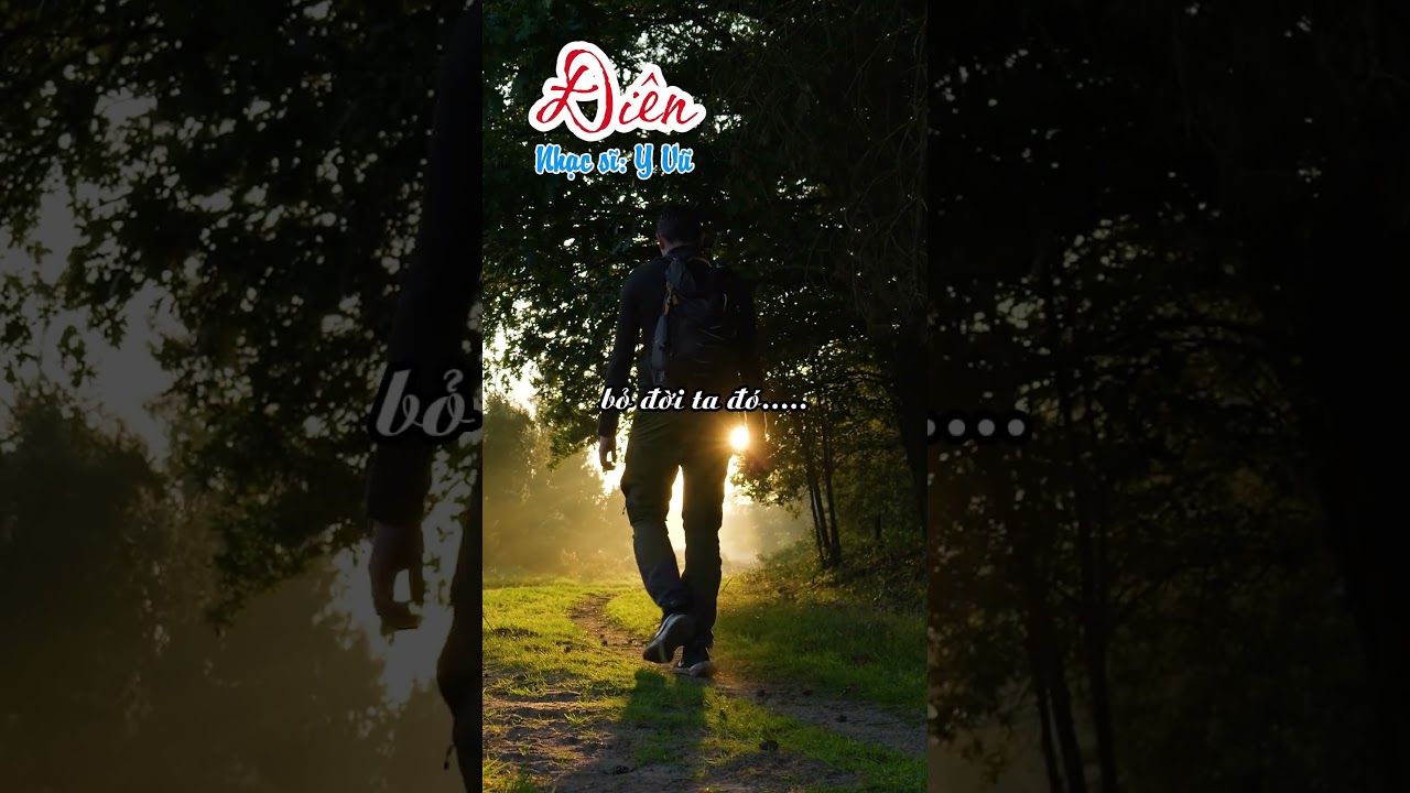 Đi&ecirc;n | Nhạc sĩ: Y Vũ | lqv77 cover #bolero #bolerohay #tamtrang #nhacbolero #nhachaymoingay #nhachay