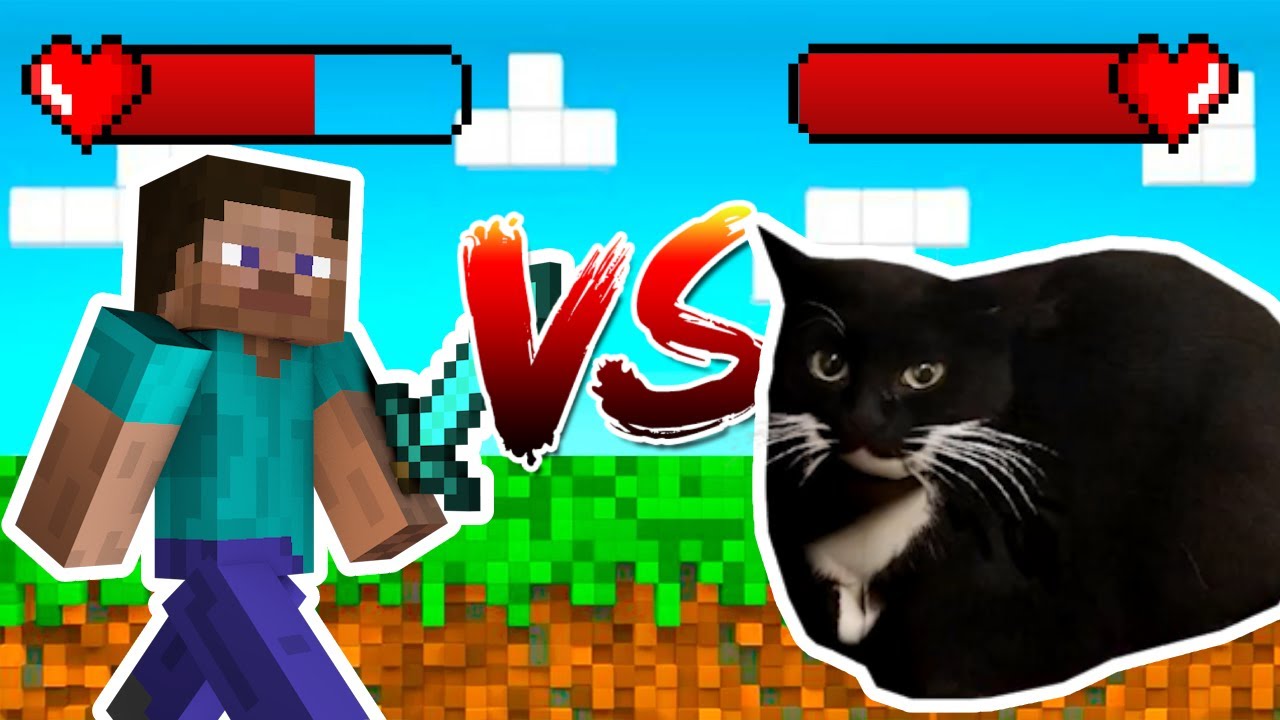 Maxwell Cat Vs Steve (Maxwell Cat vs Borzoi Dog)