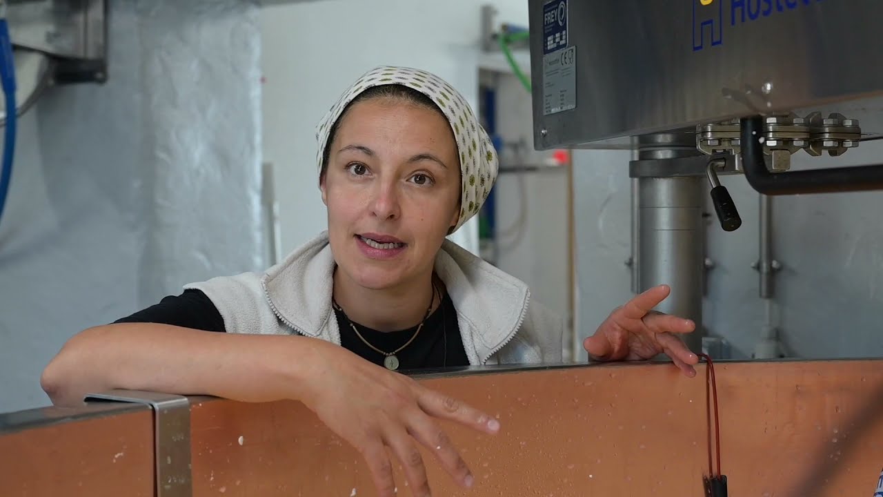 Ein Gommer Zmittag – mit Alpkäse aus dem Binntal
