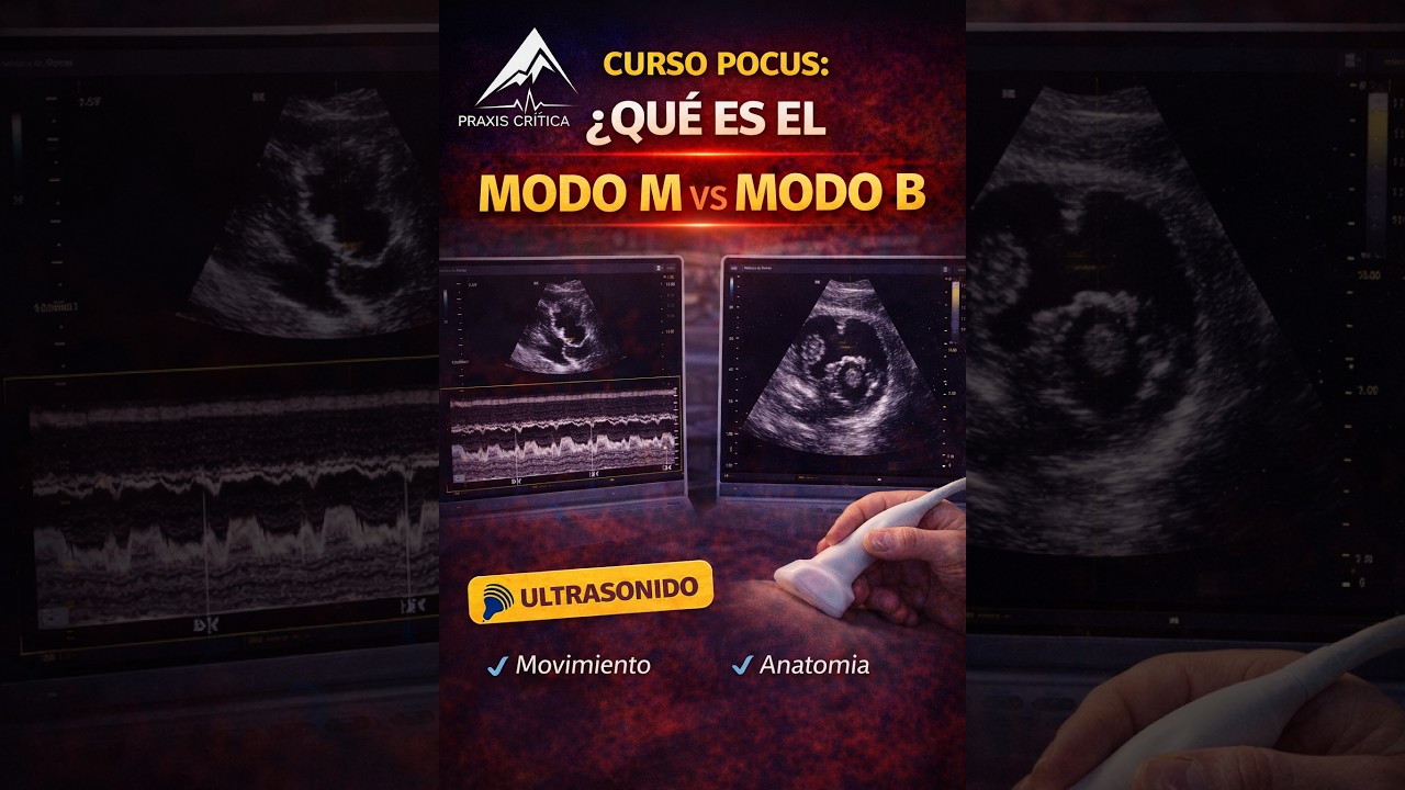 8. &iquest;que es el modo M y el modo B en ecograf&iacute;a?
