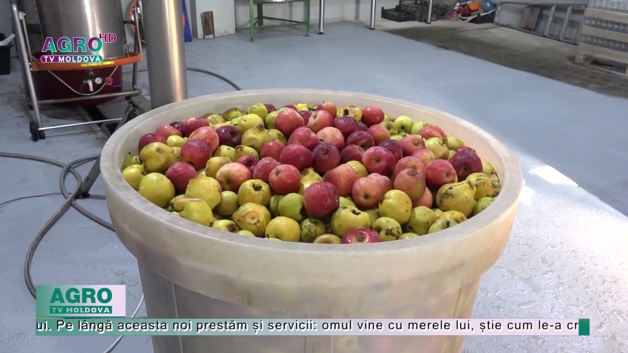 Vladimir Burlac produce sucuri naturale și sănătoase – AGRO TV News