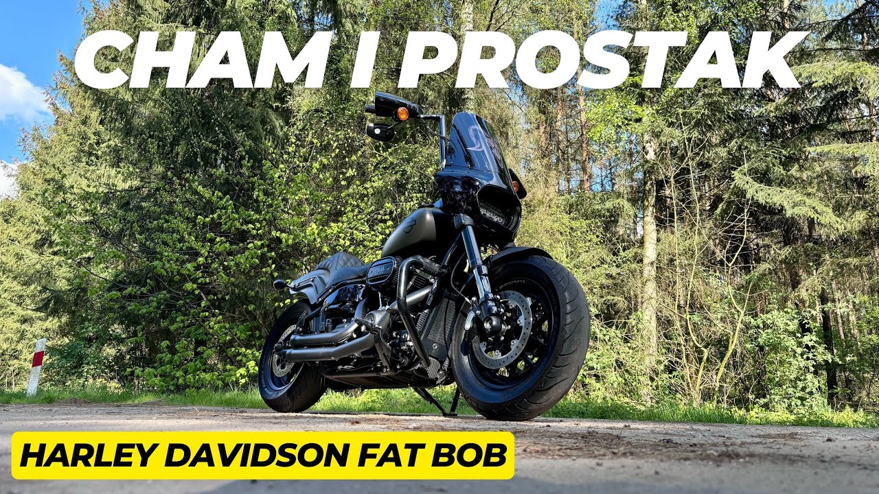 Custom Harley Davidson Fat Bob 114