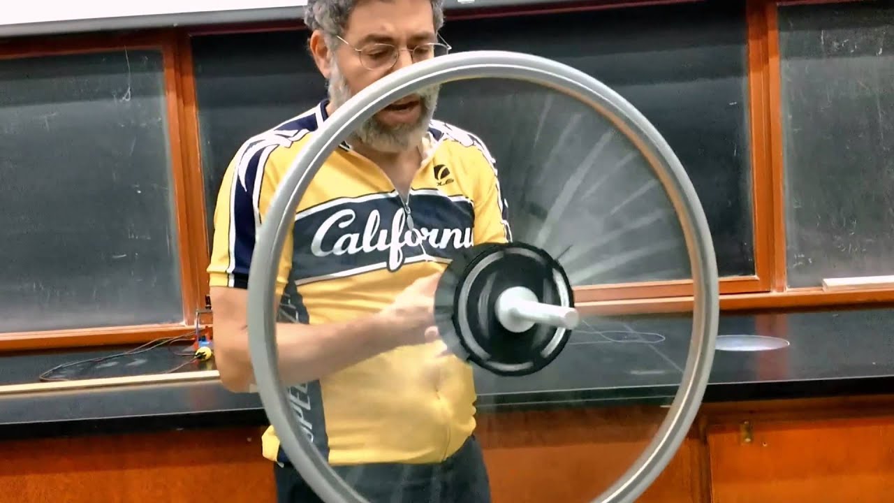 The Physics of Bikes