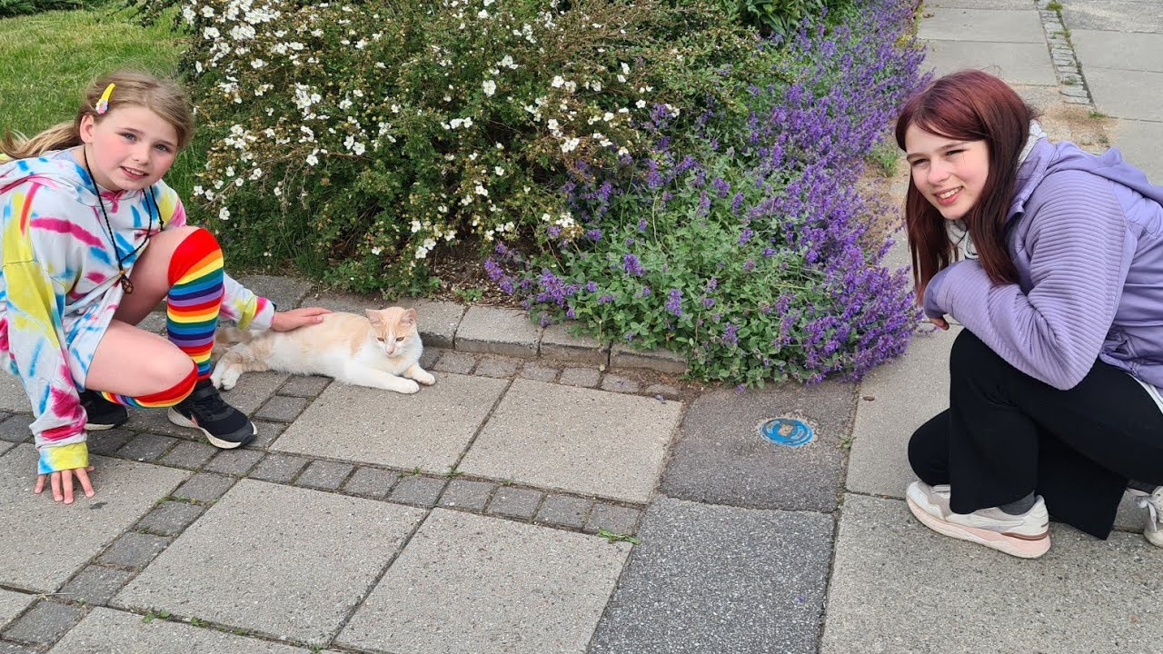 ELSKER KATTE🐱FINDER 2 KATTE🐈🐈AMALIE BLIVER REVET😱