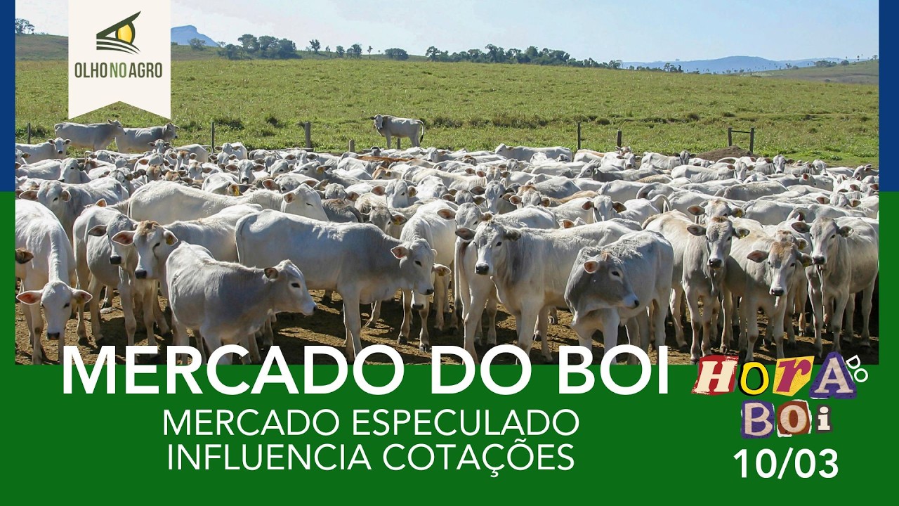 HORA DO BOI 10/03 - MERCADO ESPECULADO INFLUENCIA COTAÇÕES
