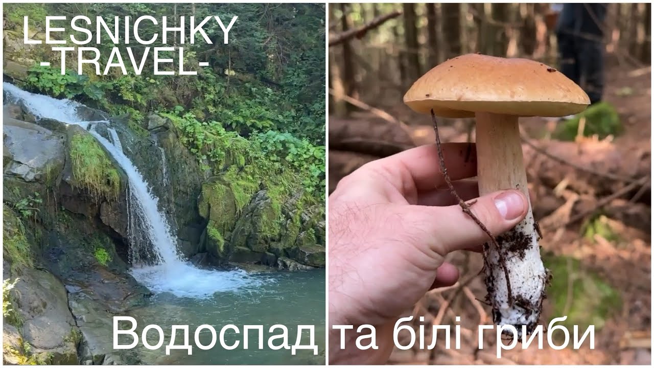 Водоспад «Камʼянка» та білі гриби
