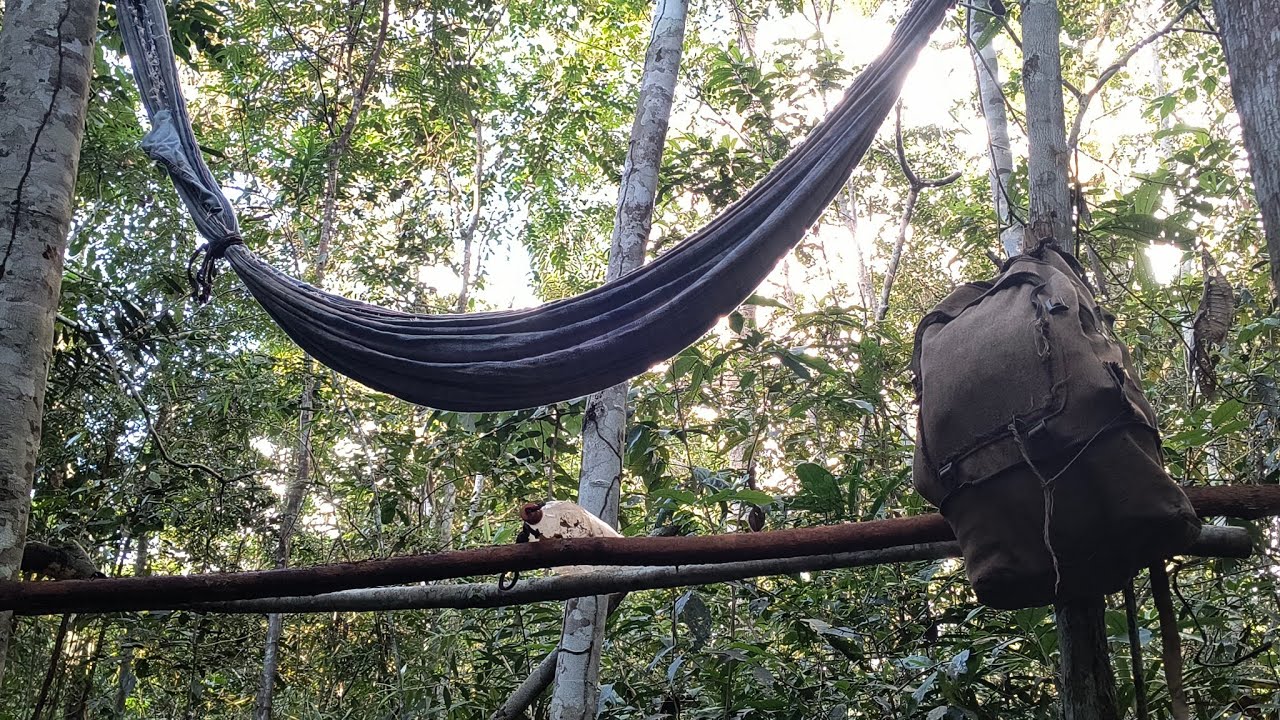 Mais uma noite ESPERANDO no pequi.