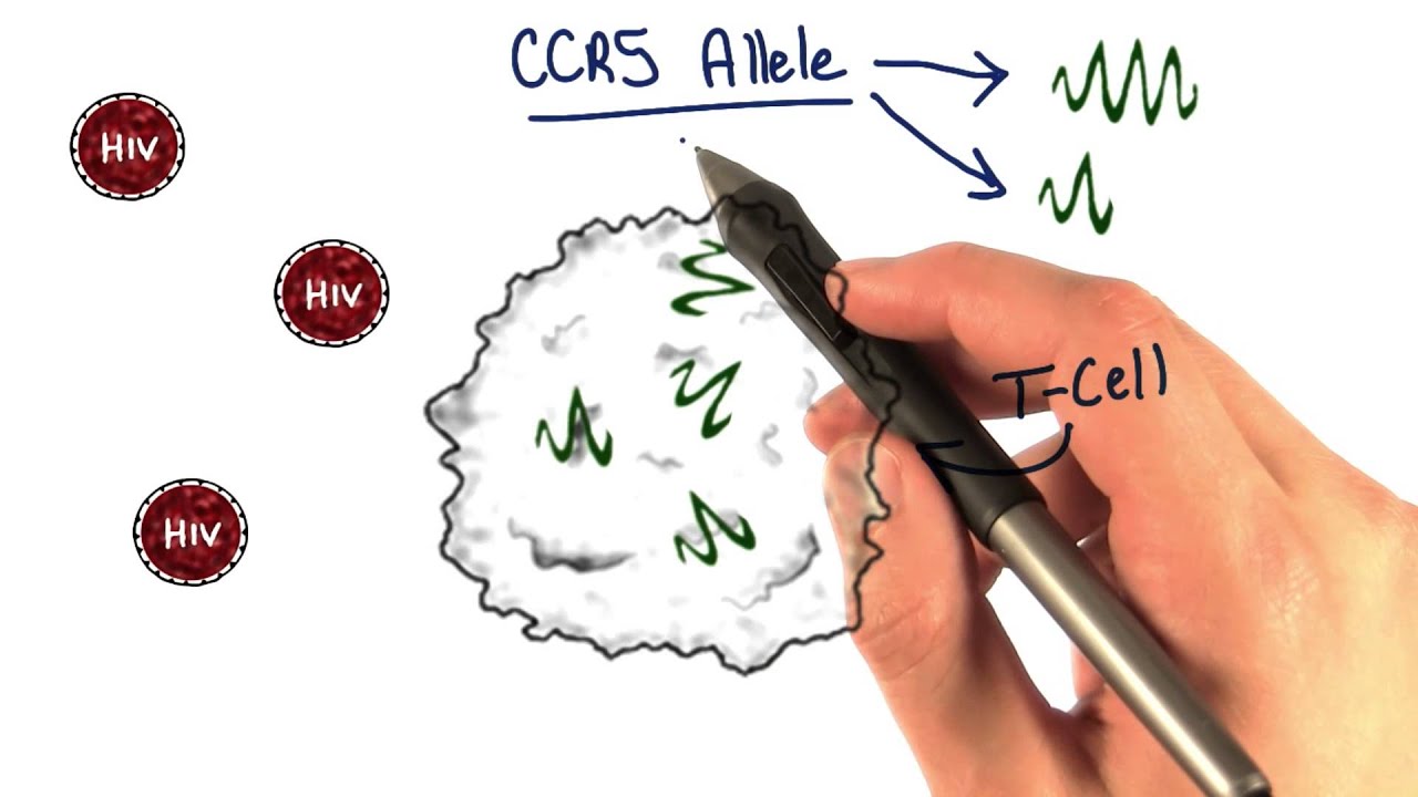 CCR5 - Tales from the Genome