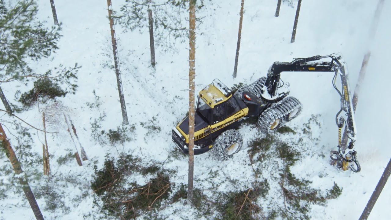 Mets&auml; Forest &ndash; Responsible wood supply and forest services