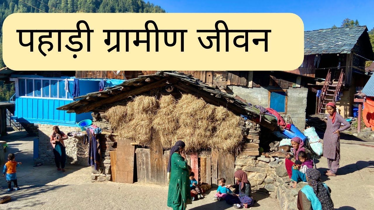 Mountain Village Life in the Indian Himalayas | हिमाचल के पहाड़ी गाँव व जीवन । The Young Monk |