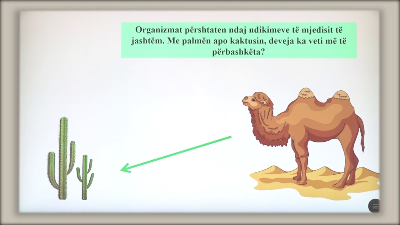6 06 020 - Java e dhjetë - BIologji - qeniet e gjalla dhe mjedisi jetesor