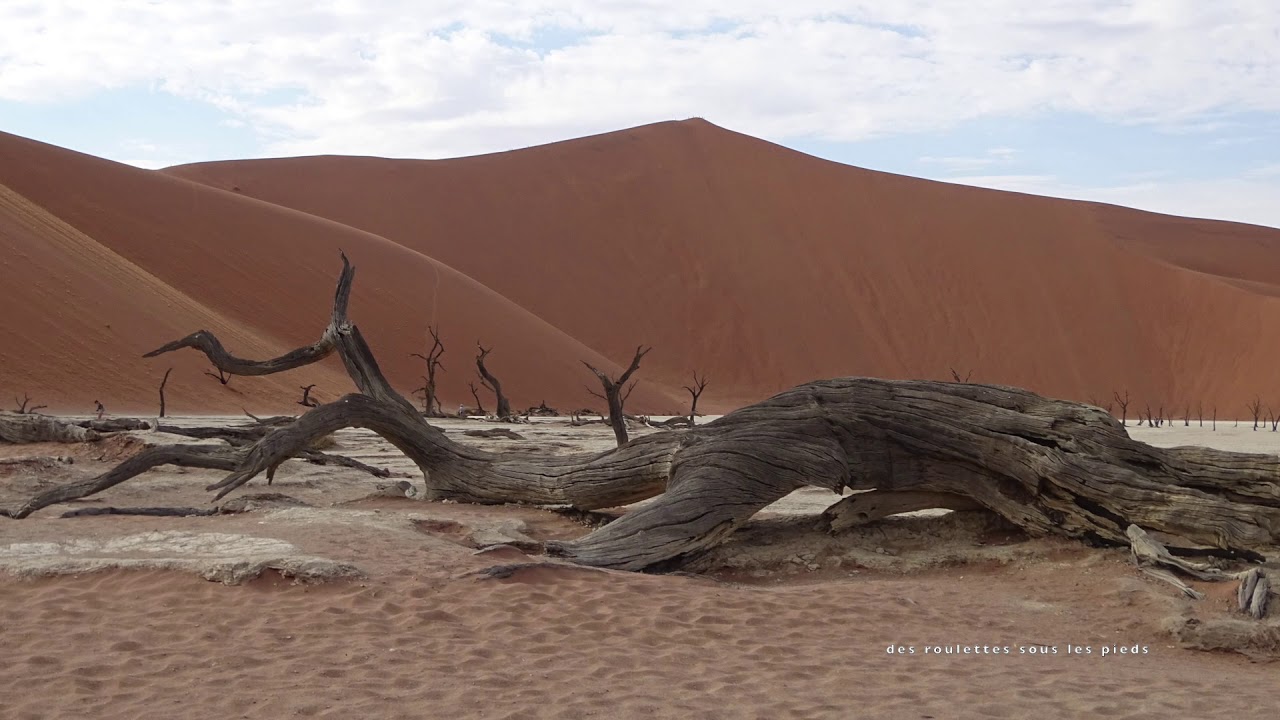 Les dunes de sables du Namib : Sesriem/Sossusvlei et Deadvlei