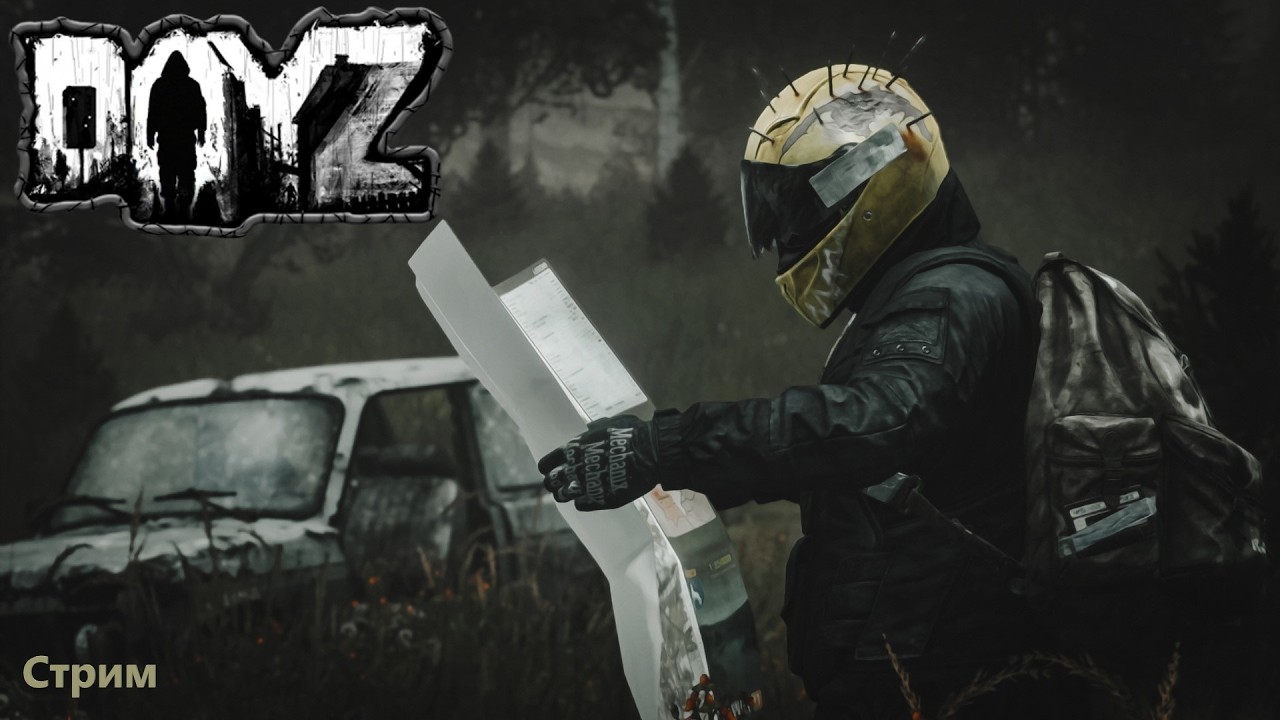 🔴СМОТРИМ The Wanderers PVE Story/Quest/Bots/Normal/x5 loot ► DayZ🔴2K@60fps🔴16+