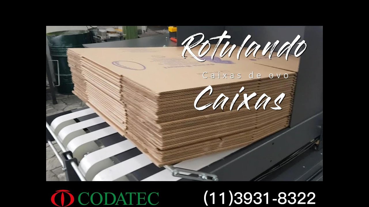Rotuladora de caixa de papelão - Identificação eficiente e padronizada